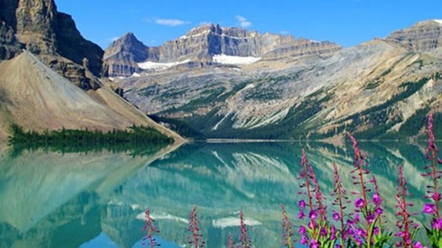 Columbia icefield, Skywalk, Waterfowl, Bow & Peyto Lake Tour - Columbia Icefield Adventure and Skywalk Tickets: Plan the 2:00 or 2:30 Slot