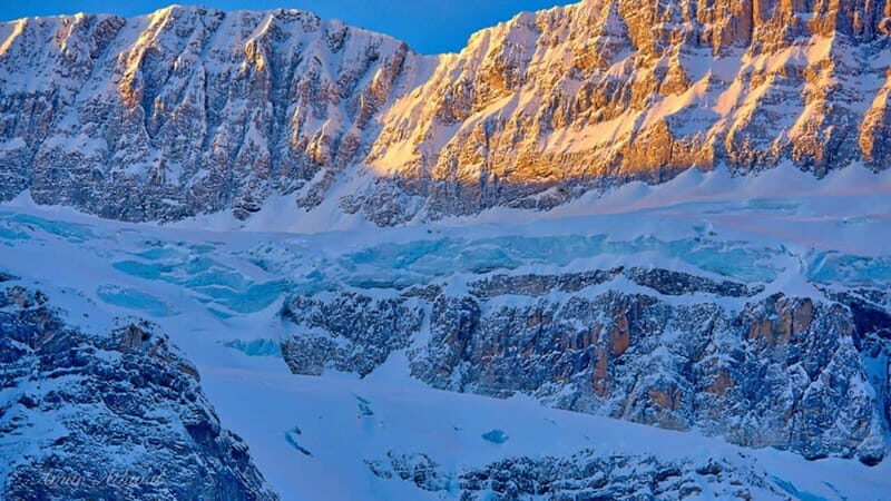 Columbia icefield, Skywalk, Waterfowl, Bow & Peyto Lake Tour - Why the Guide Makes This Tour Feel Worth It