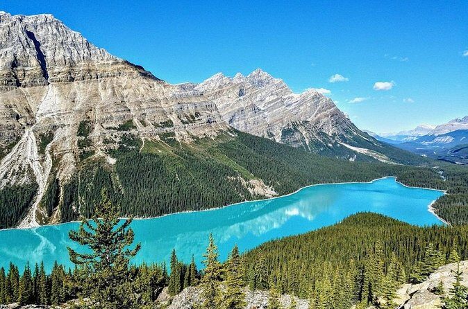 Columbia Icefield,Peyto Lake,Bow Lake Day Trip from Banff/Calgary - The Drive Along Icefields Parkway: Crowfoot to the Bow Summit Stops