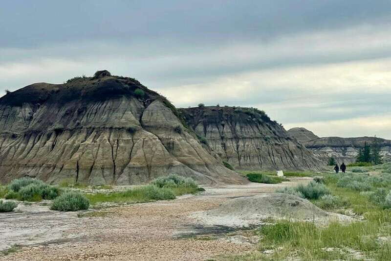 Day of Dinosaurs and Hoodoos From Calgary to the Badlands - Royal Tyrrell Museum: how to make the 2.5 hours count