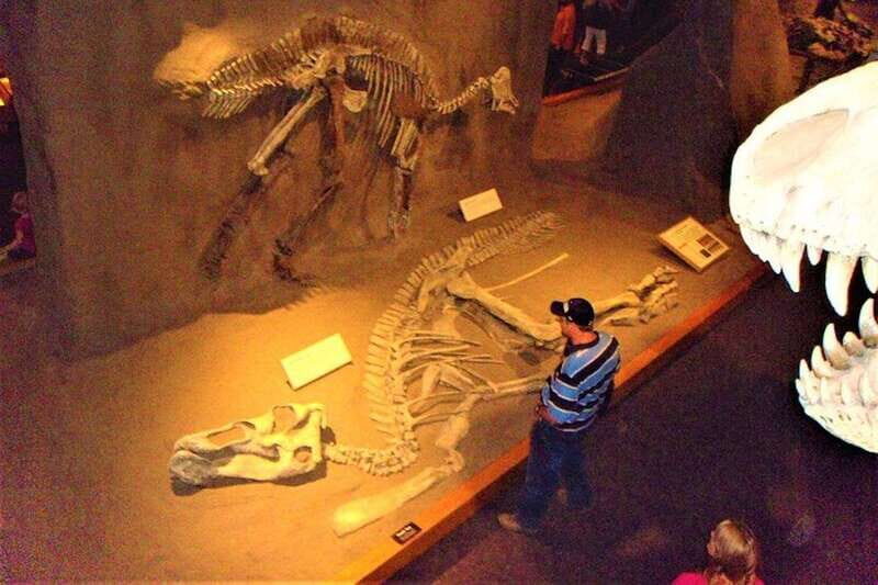 Day of Dinosaurs and Hoodoos From Calgary to the Badlands - Horseshoe Canyon: short time with big rock power