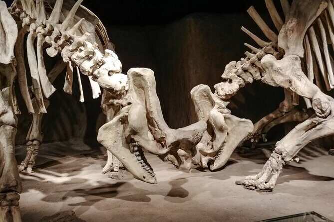 Dinosaurs, Canyons & Ghost Towns: Ultimate Drumheller Day Tour - Royal Tyrrell Museum: the 3-hour dinosaur anchor