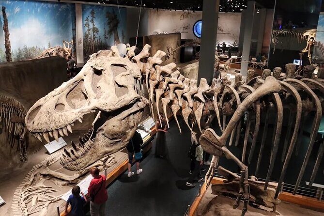 Dinosaurs, Canyons & Ghost Towns: Ultimate Drumheller Day Tour - Price and value: what $241.18 gets you