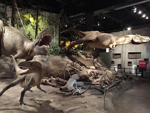 Drumheller Dinosaur Valley & Horseshoe Canyon Adventure Day Tour - Coach Day Trips From Calgary: Why This One Feels Practical