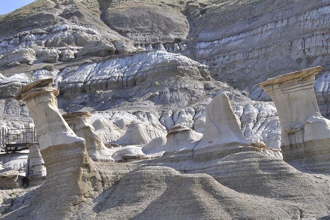 Drumheller Dinosaur Valley & Horseshoe Canyon Adventure Day Tour - Lunch and Water: What to Do So the Day Doesn’t Feel Miserable
