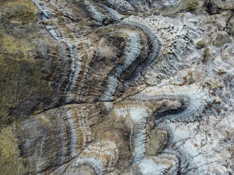 Drumheller: Dinosaurs, Canyons, & Hoodoos Day Tour - Who This Tour Fits Best (and Who Should Rethink)