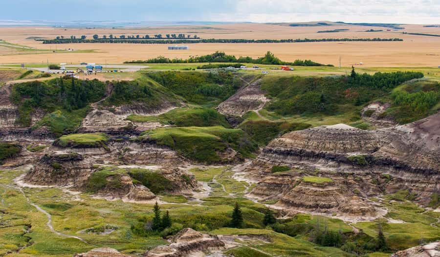 Drumheller: Dinosaurs, Canyons, & Hoodoos Day Tour - Tips for a Smooth Day (So You Don’t Feel Rushed)