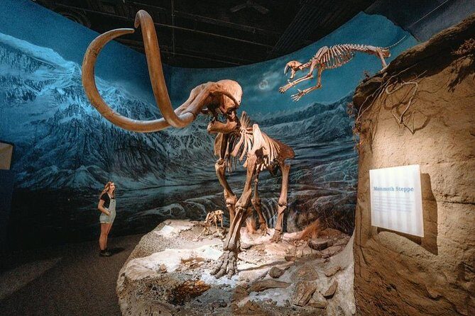 Drumheller: Royal Tyrrell Museum, Hoodoos and Horseshoe Canyon - From Calgary pickup to Drumheller day plan in air-conditioned comfort