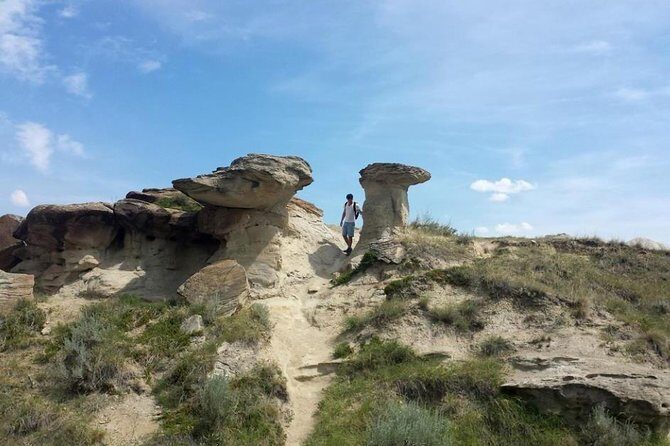 Drumheller: Royal Tyrrell Museum, Hoodoos and Horseshoe Canyon - Price and value: included transport, guide, and what to budget