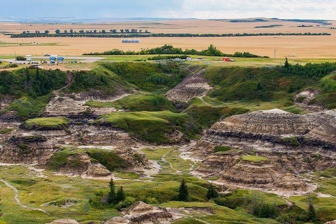 Drumheller: Royal Tyrrell Museum, Hoodoos and Horseshoe Canyon - Bilingual tour rhythm, weather swaps, and who this suits