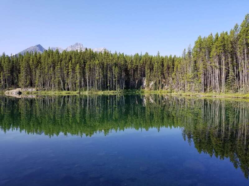 From Calgary/Banff: Columbia Icefield Glacier Full-Day Trip - Guides make the difference: what the best days have in common