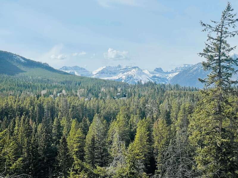 From Calgary: Banff, Moraine Lake and Lake Louise Tour - Driver-guides, safety, and the comfort trade-off