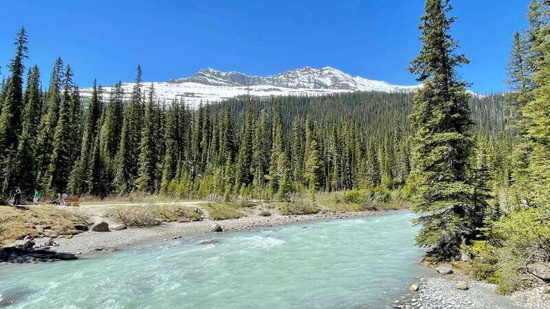 From Calgary: Banff & Yoho National Parks Private Day Tour - Wildlife spotting: how to get better than luck