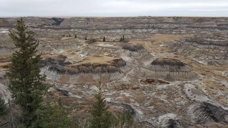 From Calgary: Canadian Badlands Private Geological Tour - What makes this private tour feel worth the $348