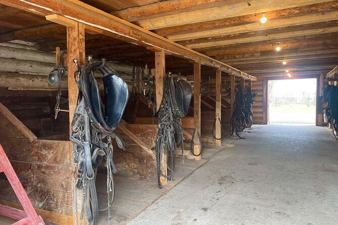 From Calgary to Waterton National Park Nature History and Wonders - What it’s like on the road (and how to prepare)