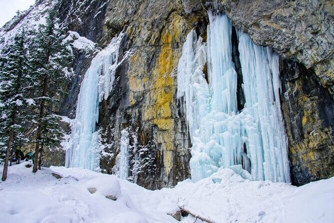 Grotto Canyon Majestic Ice Walk tour from Banff, Calgary, Canmore - Key points to know before you go