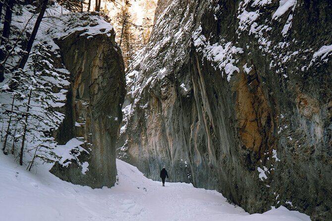Grotto Canyon Majestic Ice Walk tour from Banff, Calgary, Canmore - Grotto Canyon: what you’re really signing up for
