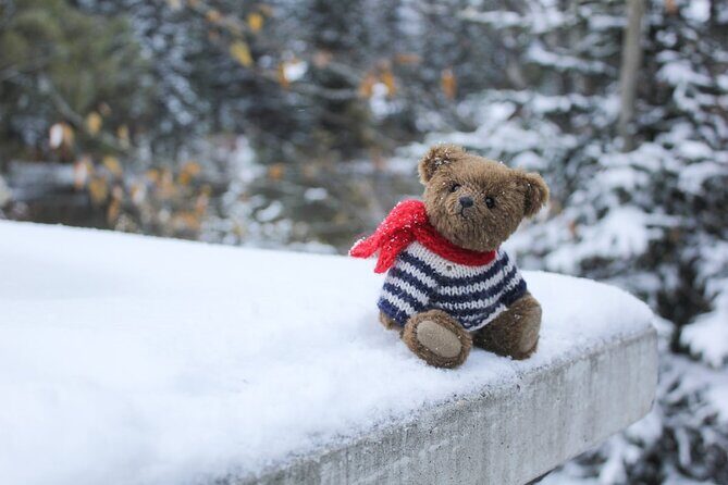 Grotto Canyon Majestic Ice Walk tour from Banff, Calgary, Canmore - What to bring so you’re not cold, wet, or annoyed