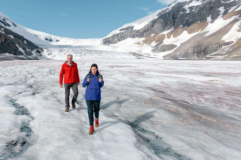 Icefield: Icefield Parkway, Bow Lakes & Peyto Lakes Day Tour - Why the Icefield Parkway Drive Hits So Hard (Even Without a Car)