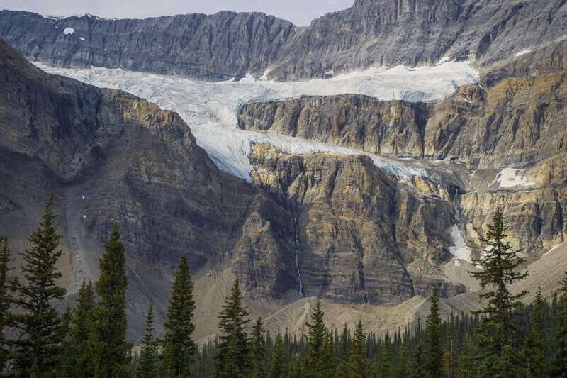 Icefield: Icefield Parkway, Bow Lakes & Peyto Lakes Day Tour - Guide Quality: The Human Difference (Raymond Was a Big Deal)