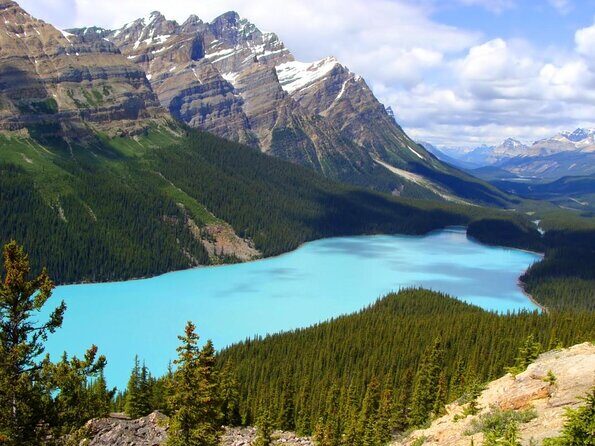 Icefields Pkwy: Lake Louise | Bow | Peyto|Glacier - PRIVATE TOUR - Key highlights worth planning for