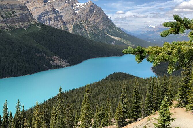 Icefields Pkwy: Lake Louise | Bow | Peyto|Glacier - PRIVATE TOUR - Should you book this private Icefields Parkway tour?