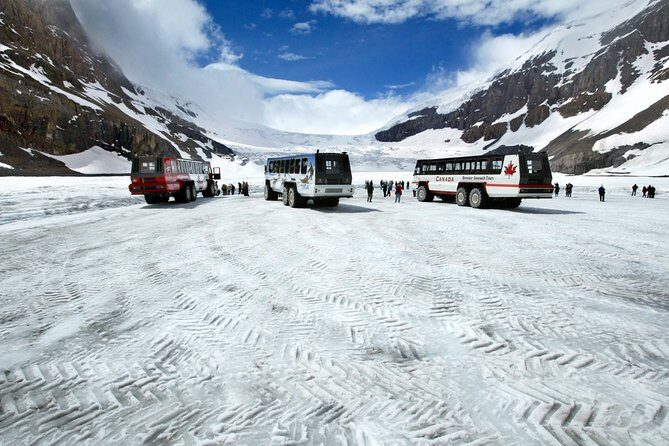 Jasper National Park 2-Day Tour: Maligne Lake & Columbia Icefield - Peyto Lake and Crowfoot Glacier: Turquoise water and climate reality