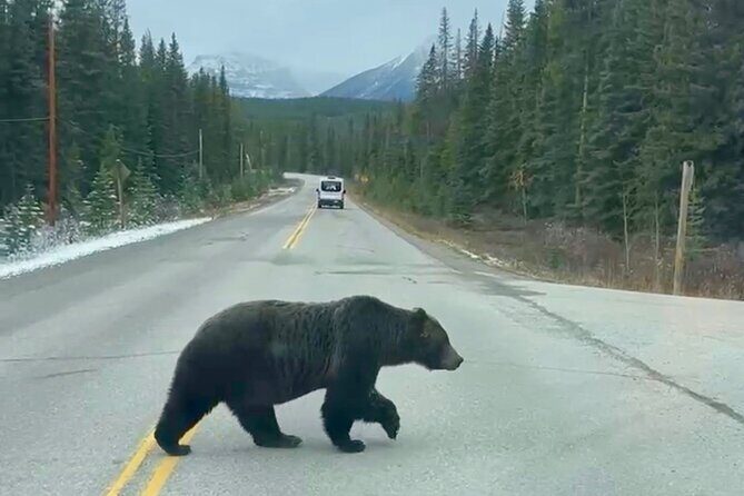 Johnston Canyon, Lake Louise & Banff: Small-Group Day Tour - Price and value: why this costs $74.31 and what you should compare