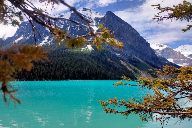 Lake Louise, Moraine Lake, Peyto Lake, Crowfoot, Johnston Canyon - A best-of Rockies day with less self-driving stress
