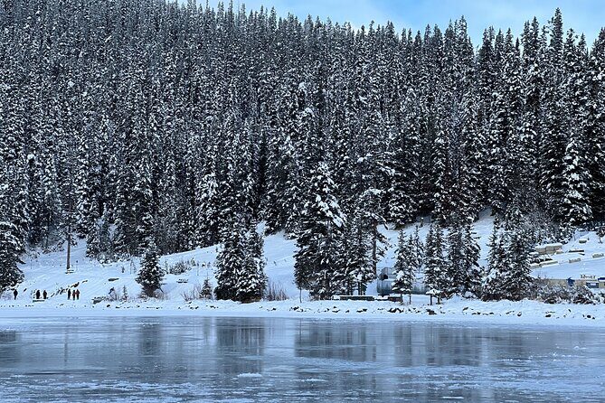 Lake Louise, Moraine Lake, Peyto Lake, Crowfoot, Johnston Canyon - Price and what you actually get for $59.11 CAD