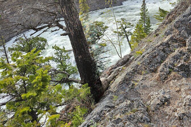 Private Banff Tours - Lake Louise: The Turquoise Water Moment