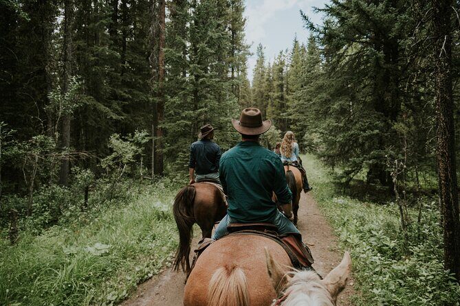 Ridge Ride 2-Hour Horseback Trail Ride in Kananaskis - Wildlife and Photo Moments: How to Make the Most of Your Camera