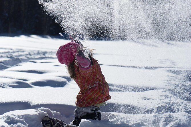 Snowshoeing in Kananaskis - Key highlights to know before you go