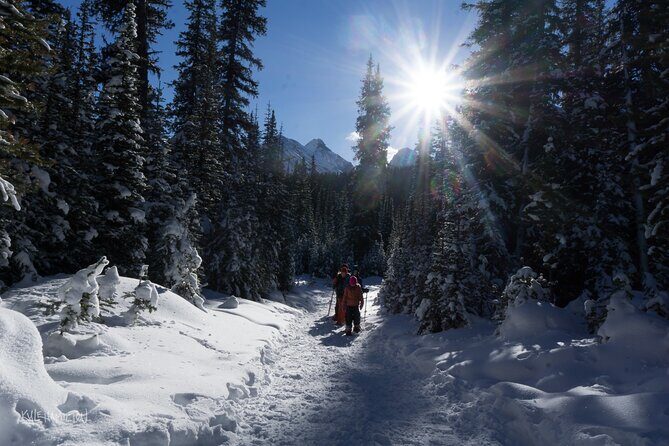 Snowshoeing in Kananaskis - The on-trail experience: what you learn while walking