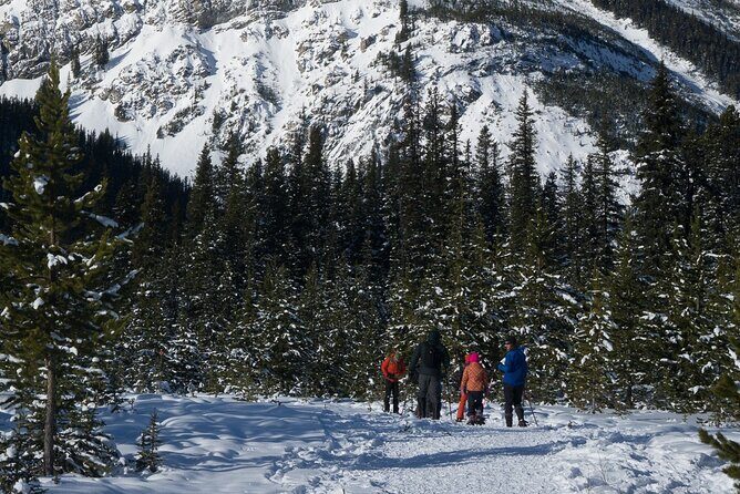 Snowshoeing in Kananaskis - Should you book Kananaskis Outfitters snowshoeing?
