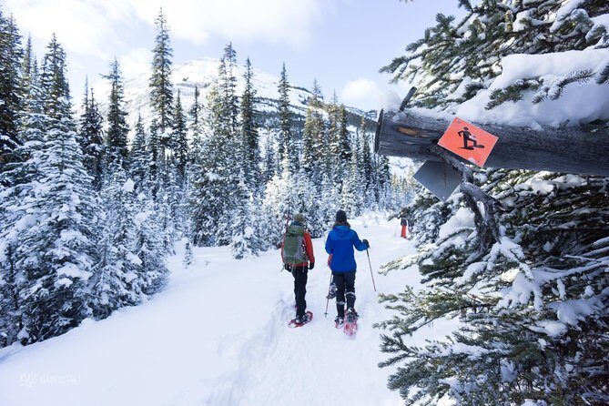 Snowshoeing in Kananaskis - Kananaskis Outfitters meeting point and the timing that makes it easy