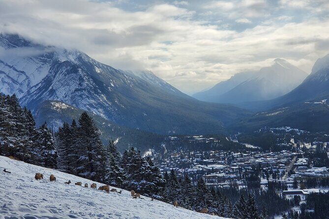 Spectacular Banff Day - Gondola Included - Lake Louise (and Moraine When Open): Timing, Season, and How to Work the Crowds