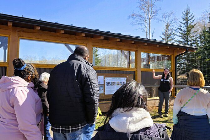 Transfer to Canmore & Banff: Yamnuska Wolfdog Sanctuary Tour - Should you book the Yamnuska Wolfdog and Canmore–Banff transfer?