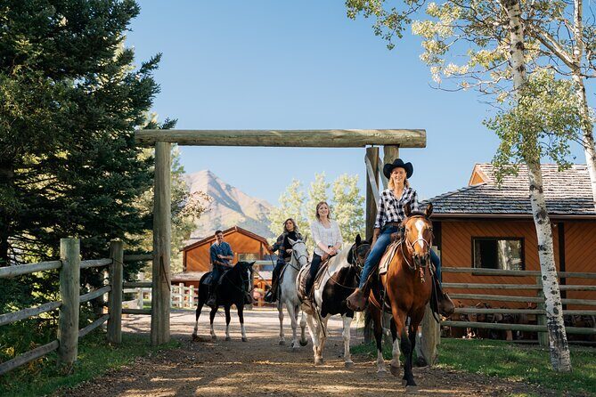 Valley Vista 1.5 Hour Horseback Trail Ride in Kananaskis - Key Highlights You’ll Care About