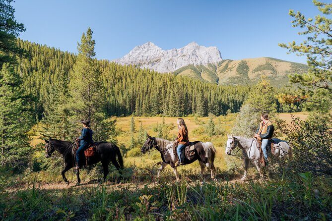 Valley Vista 1.5 Hour Horseback Trail Ride in Kananaskis - Entering Boundary Ranch in Kananaskis