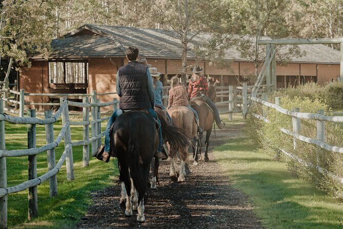 Valley Vista 1.5 Hour Horseback Trail Ride in Kananaskis - Horses and Guides: Where Comfort Meets Confidence