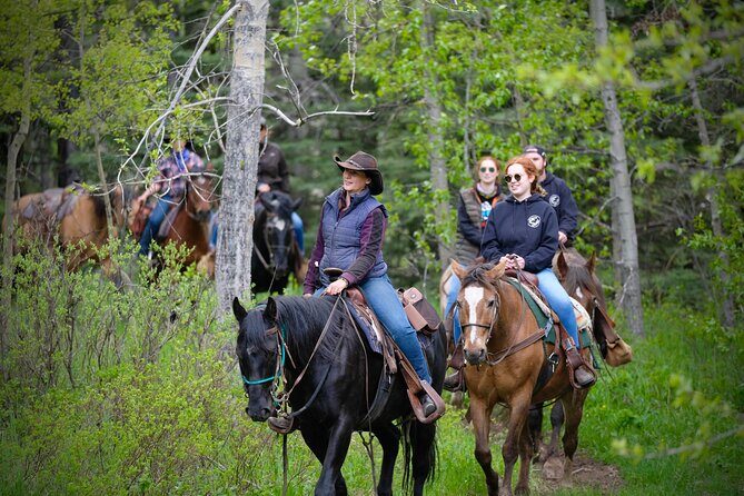 Valley Vista 1.5 Hour Horseback Trail Ride in Kananaskis - Who This Ride Is For (and Who Might Want Another Option)