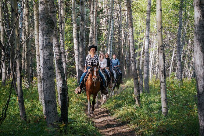 Valley Vista 1.5 Hour Horseback Trail Ride in Kananaskis - The Trail Route: Aspen Grove to Mount Kidd to Buffalo