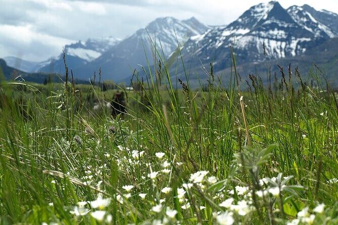 Waterton-Glacier International Peace Park | Be a Wildflower - Red Rock Canyon and Blakiston Falls: ancient rocks, easy walking, big payoff