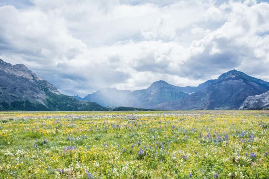 Waterton National Park: Lakes & Mountains Day Tour - Waterton Lakes National Park: How to Use 60 Minutes Well