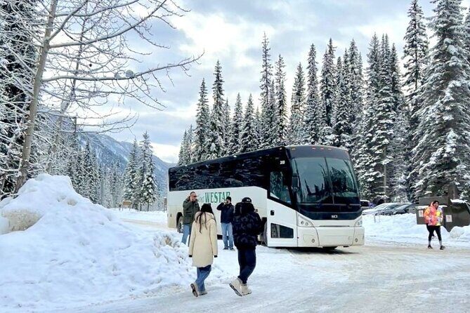 Winter Trip: Lake Louise, Marble Canyon, Emerald Lake, Banff - Lake Louise Village Grill & Bar lunch: plan for the extra cost