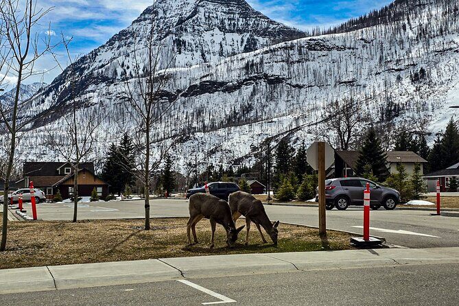Xclusive Wonders of Waterton Your Private Journey of Nature’sBest - Price Per Group and What You’re Really Paying For